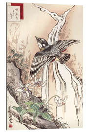 Gallery print Woodpecker and violet