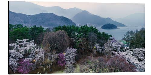 Alubild Frühling in Fuji Hakone