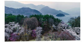 Foam board print Spring in Fuji Hakone