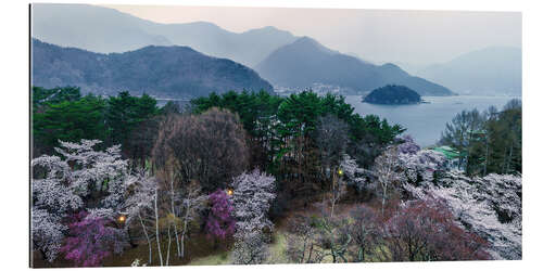 Gallery Print Frühling in Fuji Hakone