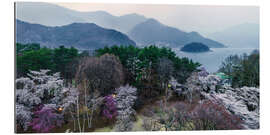 Gallery print Spring in Fuji Hakone