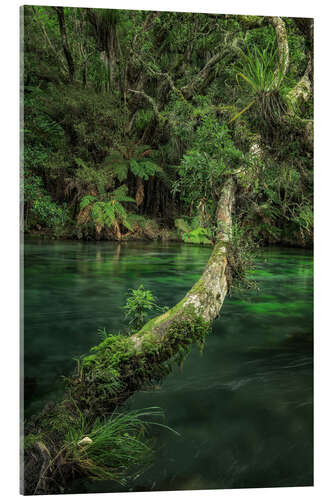 Acrylic print Idyll by the river