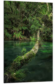 Aluminium print Idyll by the river