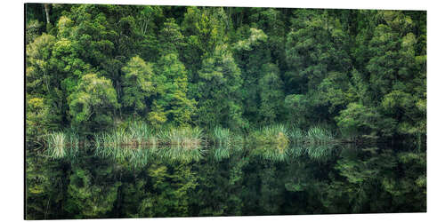 Tableau en aluminium Reflet vert