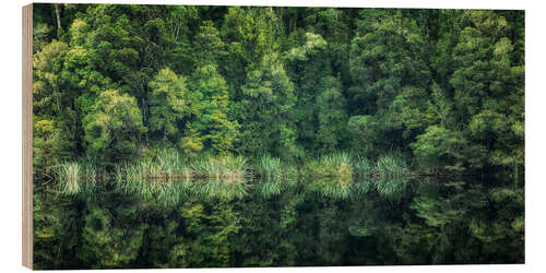 Wood print Green reflection