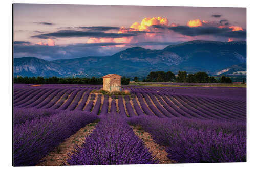 Alubild Abendstimmung in der Provence