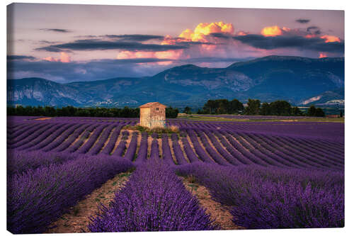 Canvas print Evening mood in Provence