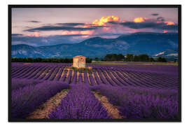Gerahmter Kunstdruck Abendstimmung in der Provence