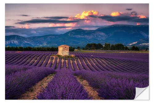 Selvklæbende plakat Evening mood in Provence