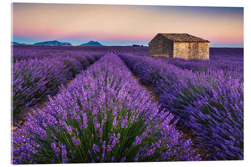 Acrylic print Lavender Colours