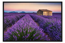 Gerahmter Kunstdruck Lavendelfarben