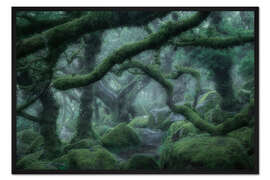 Gerahmter Kunstdruck Düsterwald