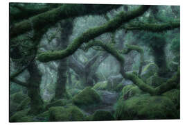 Magnettafel Düsterwald