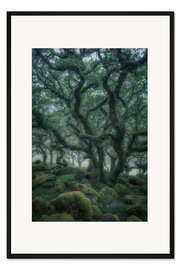 Gerahmter Kunstdruck Uralte Eichen