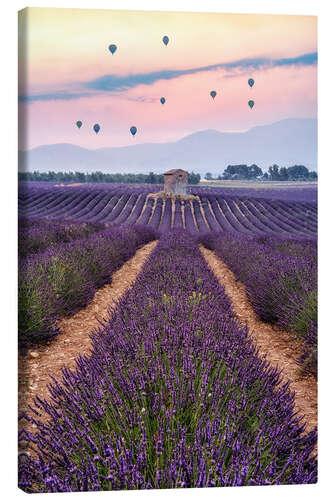 Canvas print Balloonist Over a Sea of Flowers