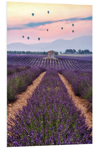 PVC-tavla Balloonist over the sea of flowers