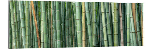 Alumiinitaulu Bamboo