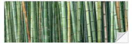 Wall sticker Bamboo