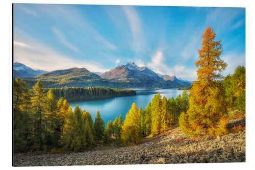 Alubild Goldenes Engadin
