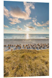 Foam board print Beach chairs on Sylt