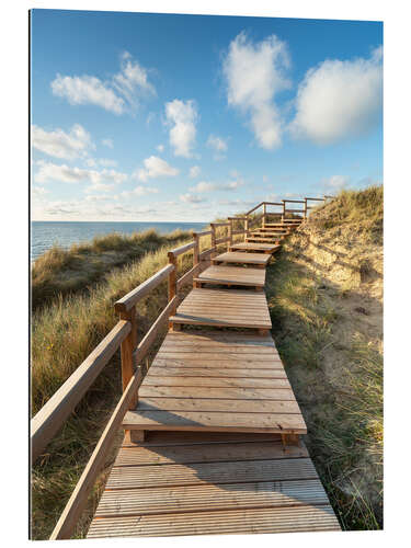 Gallery print Wooden walkway on Sylt near Kampen