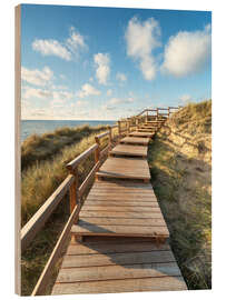 Trätavla Wooden walkway on Sylt near Kampen