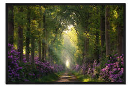 Gerahmter Kunstdruck Glückspilz