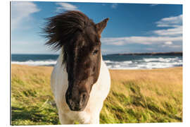 Gallery Print Islandpferd mit windiger Mähne am Meer