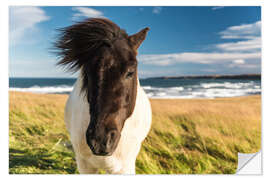 Vinilo para la pared Caballo islandés con una melena ventosa junto al mar