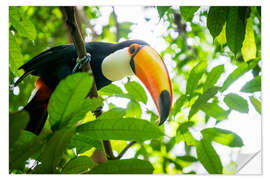 Sticker mural Toucan dans la forêt amazonienne