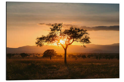 Stampa su alluminio Tramonto nella savana della valle di Kidepo, Uganda