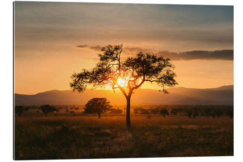 Gallery Print Sonnenuntergang in der Savanne des Kidepo Valley, Uganda