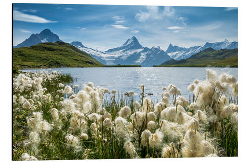 Tableau en aluminium Lac de Bachalp avec le Schreckhorn près de Grindelwald