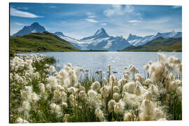 Aluminium print Bachalpsee with Schreckhorn near Grindelwald