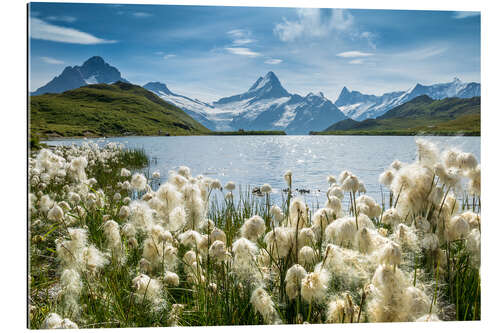 Galleriataulu Bachalpsee with Schreckhorn near Grindelwald