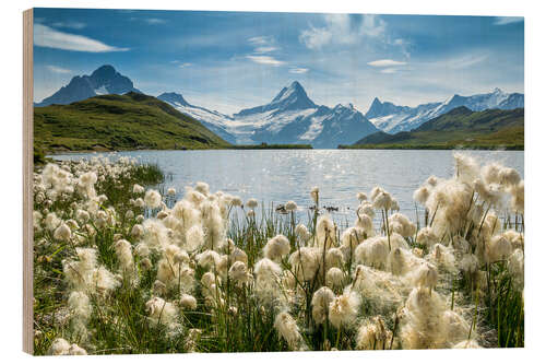 Trebilde Bachalpsee with Schreckhorn near Grindelwald