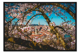 Gerahmter Kunstdruck Altstadt von Bern umrahmt hinter einem Kirschbaum