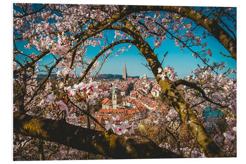 Obraz na PCV Old town of Bern framed behind a cherry tree