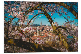 Magnettafel Altstadt von Bern umrahmt hinter einem Kirschbaum