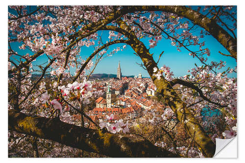 Muursticker Old town of Bern framed behind a cherry tree