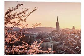 Foam board print Sunset over the city of Bern during cherry blossom