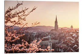 Tableau en plexi-alu Coucher de soleil sur la ville de Berne pendant la floraison des cerisiers