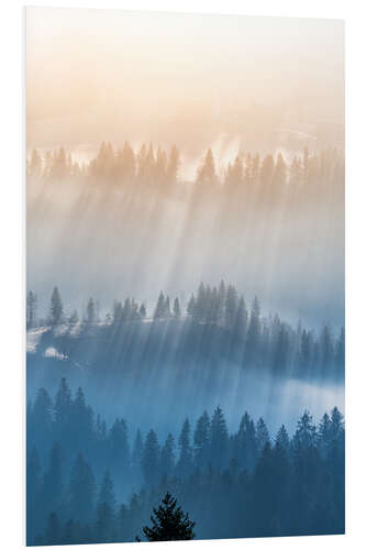 Foam board print Foggy morning in the forest in Emmental