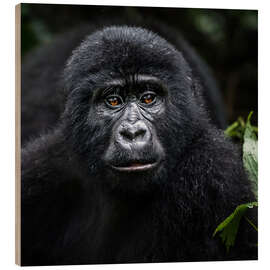 Holzbild Junger Gorilla in Bwindi