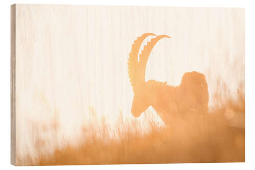 Holzbild Steinbock-Silhouette im sommerlichen Gegenlicht