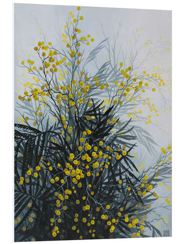 Foam board print Golden Wattle