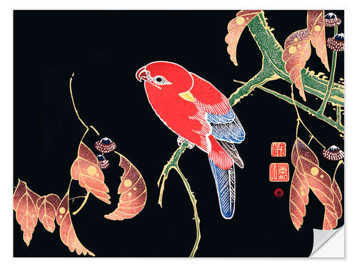 Wall sticker Red parrot on the branch of a tree