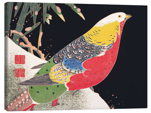 Canvas print Golden pheasant in the snow