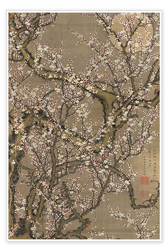 Poster White plum blossoms and moon
