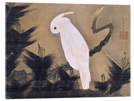 Obraz na szkle akrylowym  Biała kakadu na gałęzi sosny - Itô Jakuchu